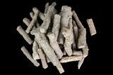 - Fulgurites (Petrified Lightning) Wholesale Lot ~ Pieces #76036-1